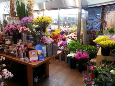 「堀花苑」　（長野県長野市）の花屋店舗写真2